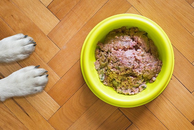 Diätfutter Hund selber machen
