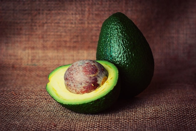 Dürfen Hunde Avocado essen