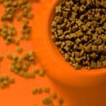 Warum frisst mein Hund kein Trockenfutter? Mögliche Gründe und Lösungen Hund frisst kein Trockenfutter
