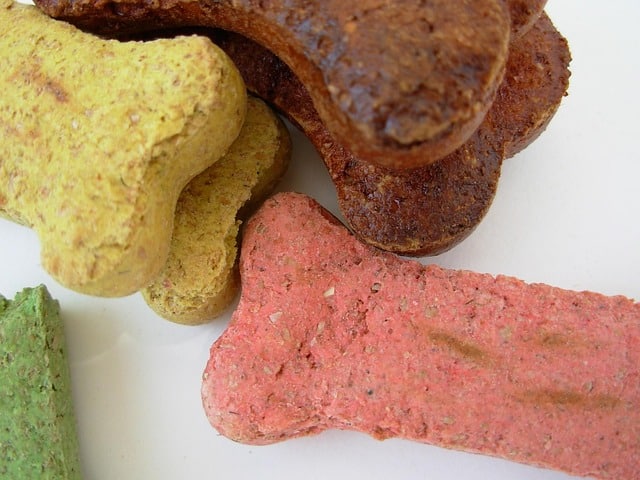Schonkost Hund Rezept Durchfall