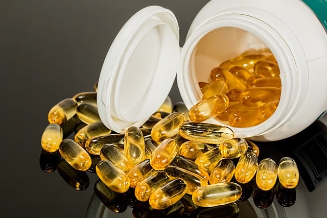 Omega 3 Öl Hund