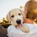 Berühmte Hunde: Die Top 7 Berühmte Hunde Top 7
