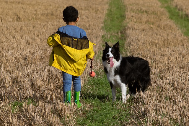 Hund schnappt nach Kindern