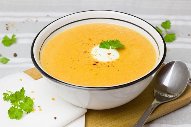 Morosche Karottensuppe bei Erbrechen Hund